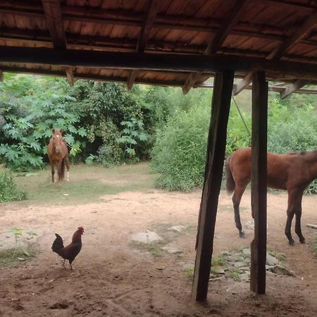 Pousada Quinta De Areal Alberto Torres エクステリア 写真