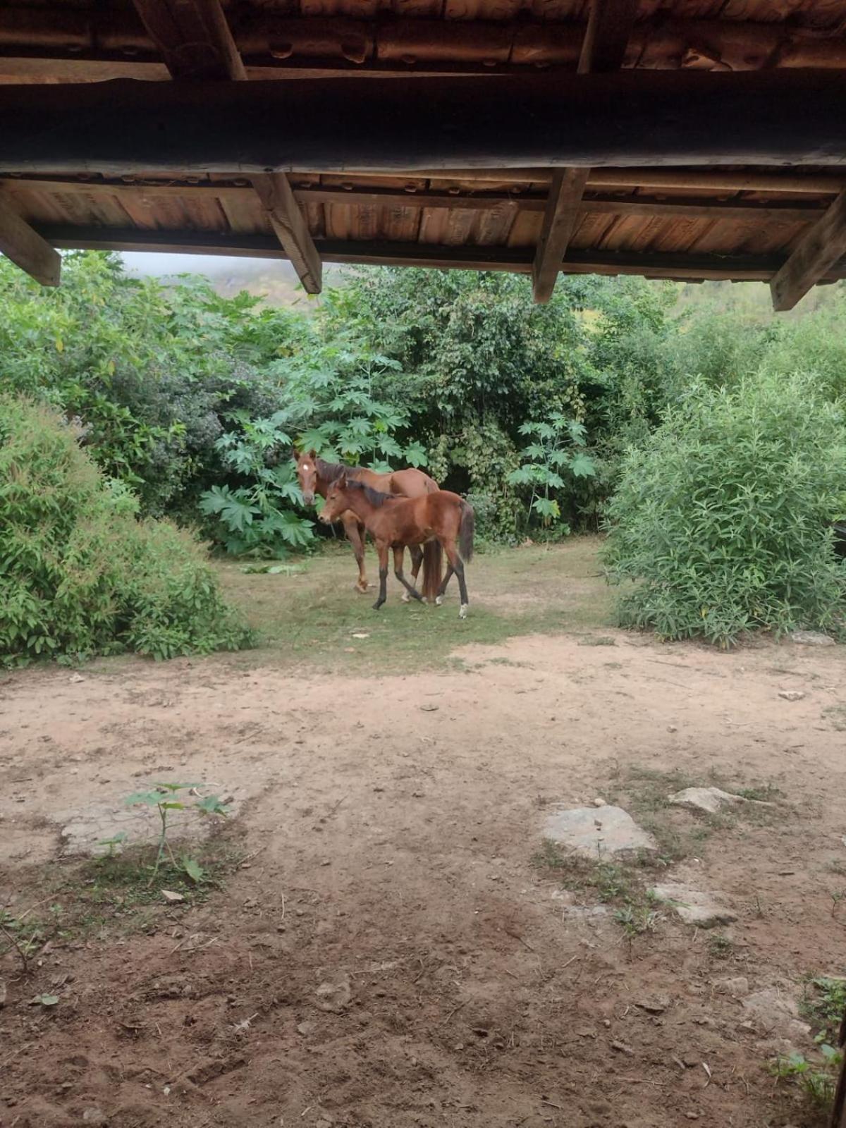 Pousada Quinta De Areal Alberto Torres エクステリア 写真