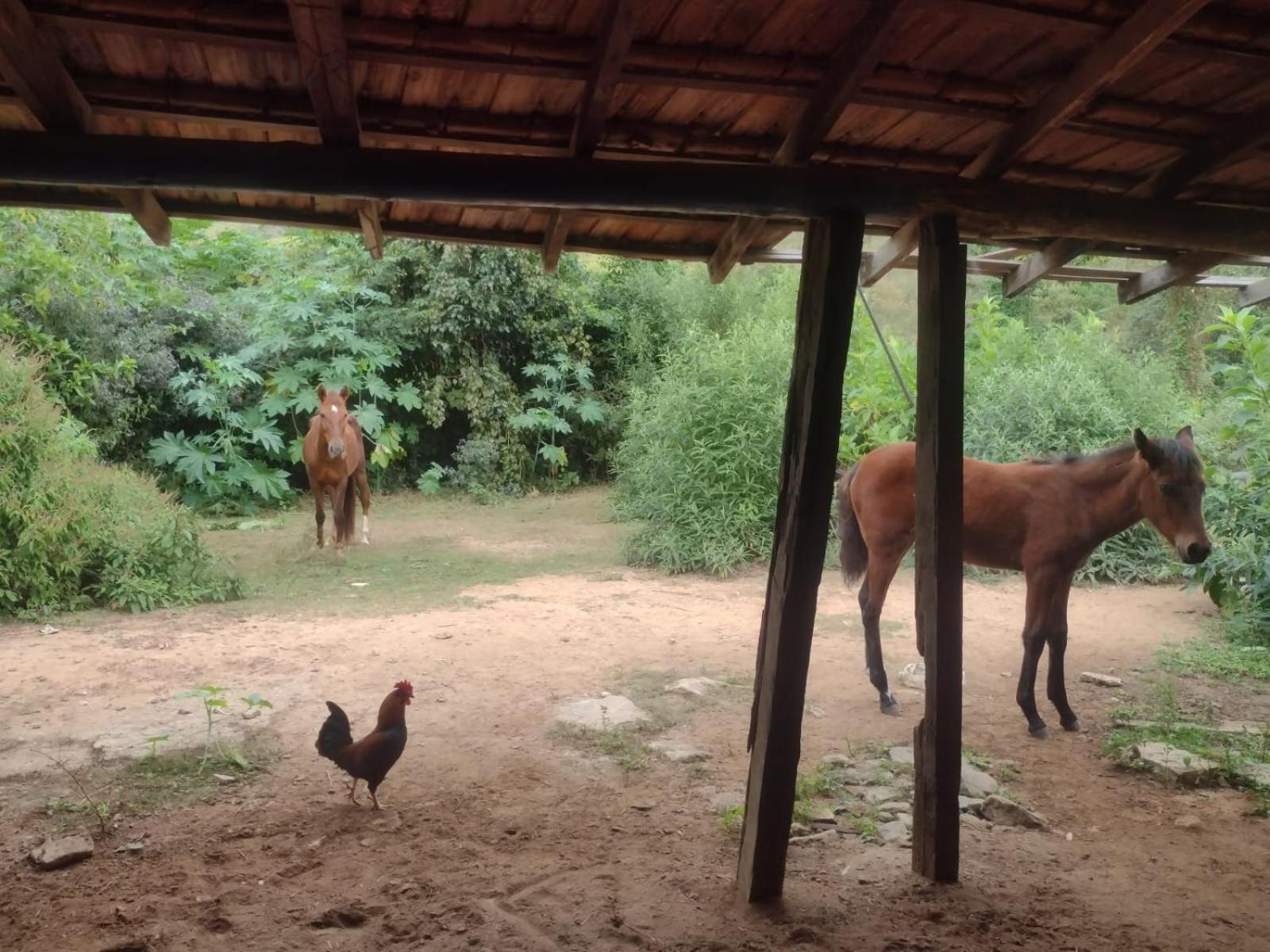 Pousada Quinta De Areal Alberto Torres エクステリア 写真